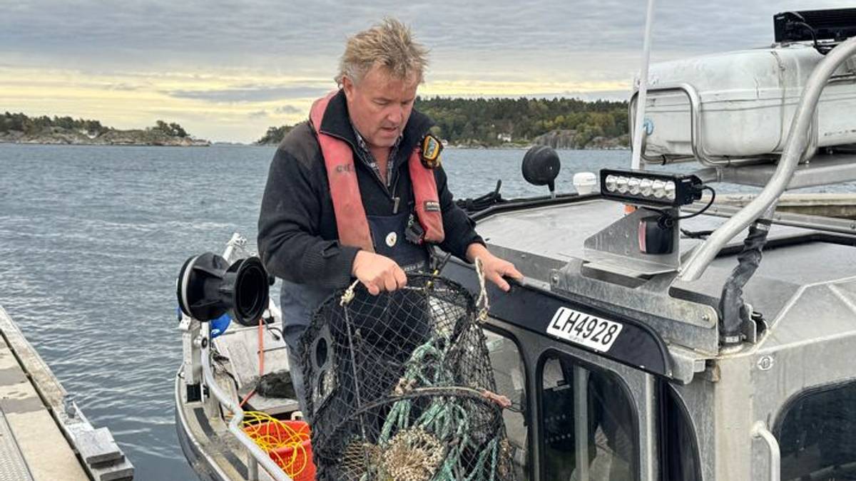 Mange hummerteiner forsvant i stormen