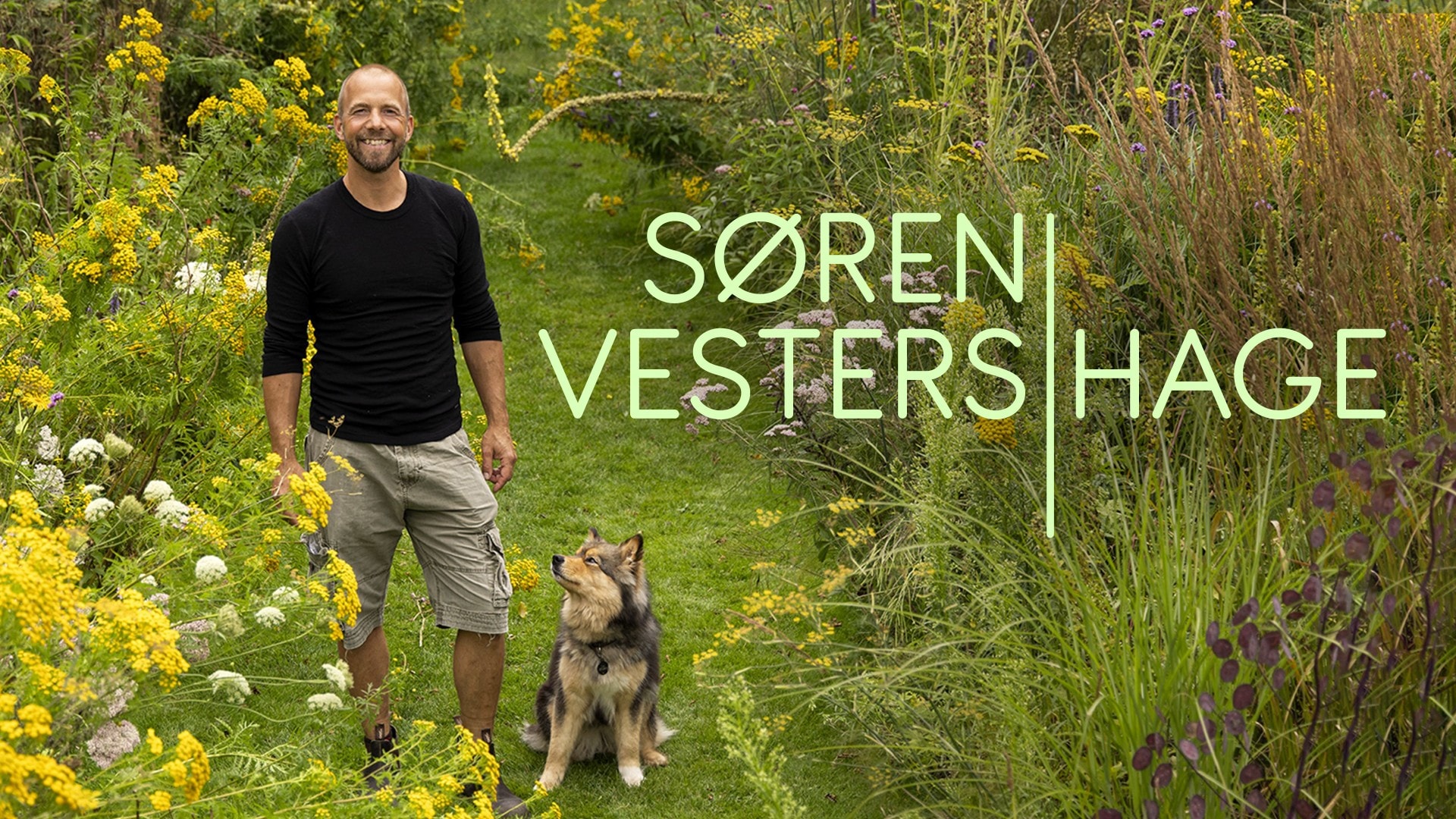 Søren Vesters hage – NRK TV
