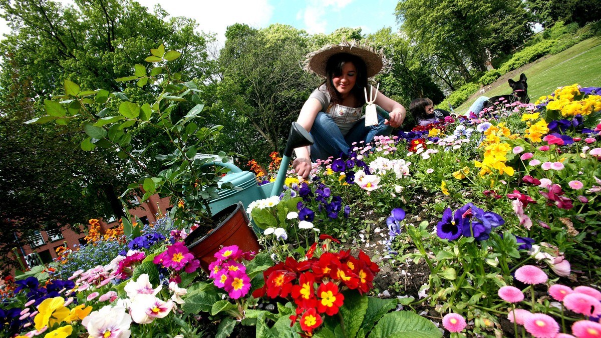 Fem tips for å gjere hagen klar for våren