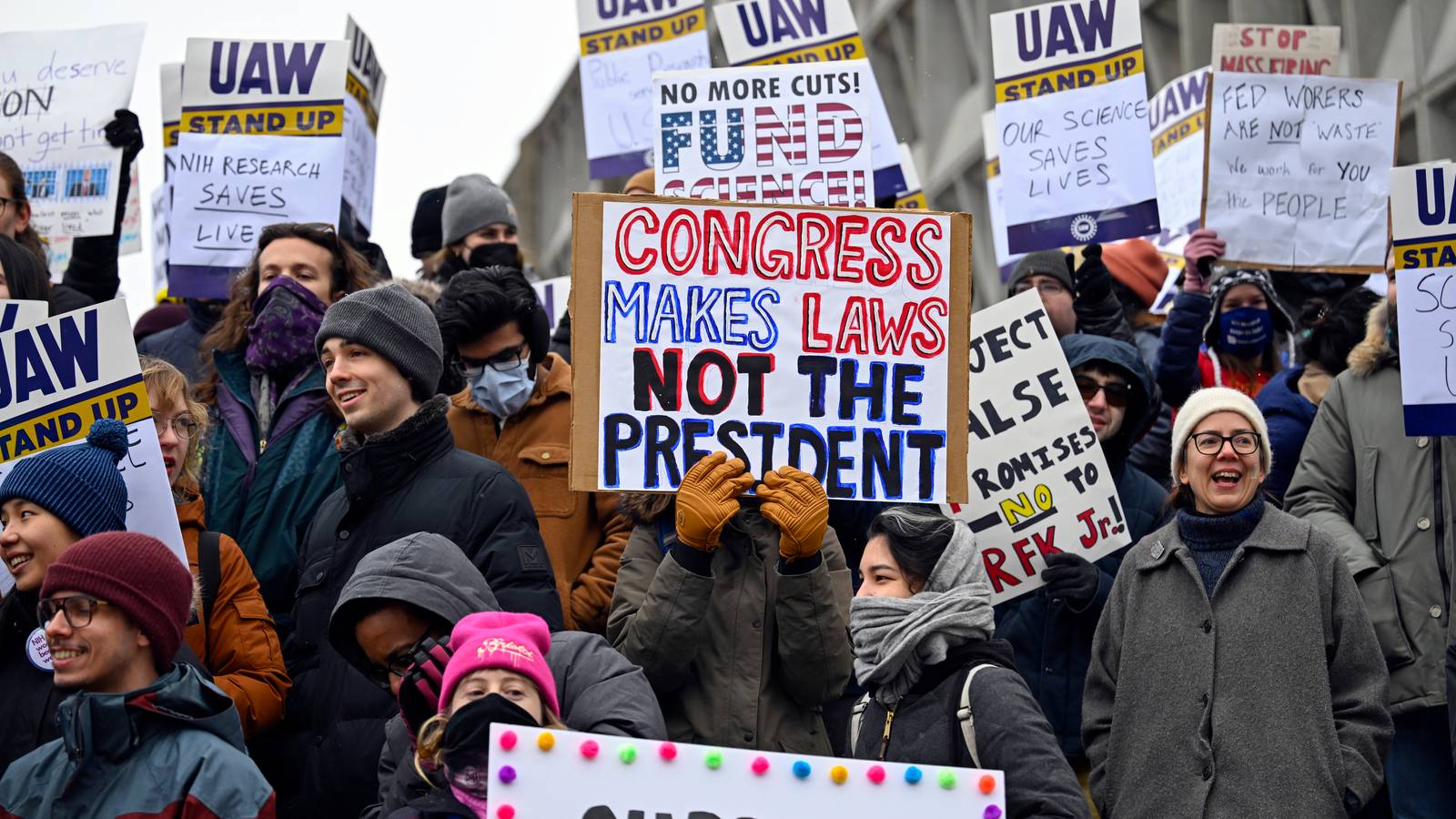 Picture from US protest. A protester is holding a sign saying &quot;Congress makes laws, not the president&quot;.