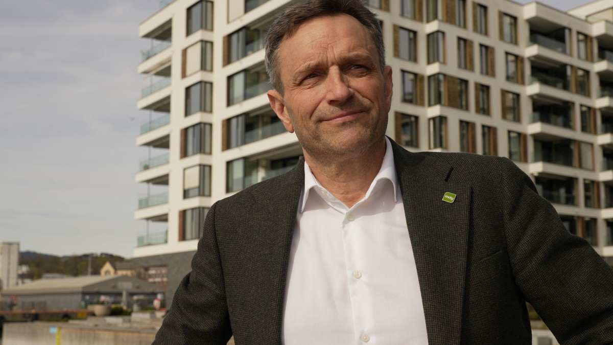 Arild Hermstad gjenvalgt som MDG-leder