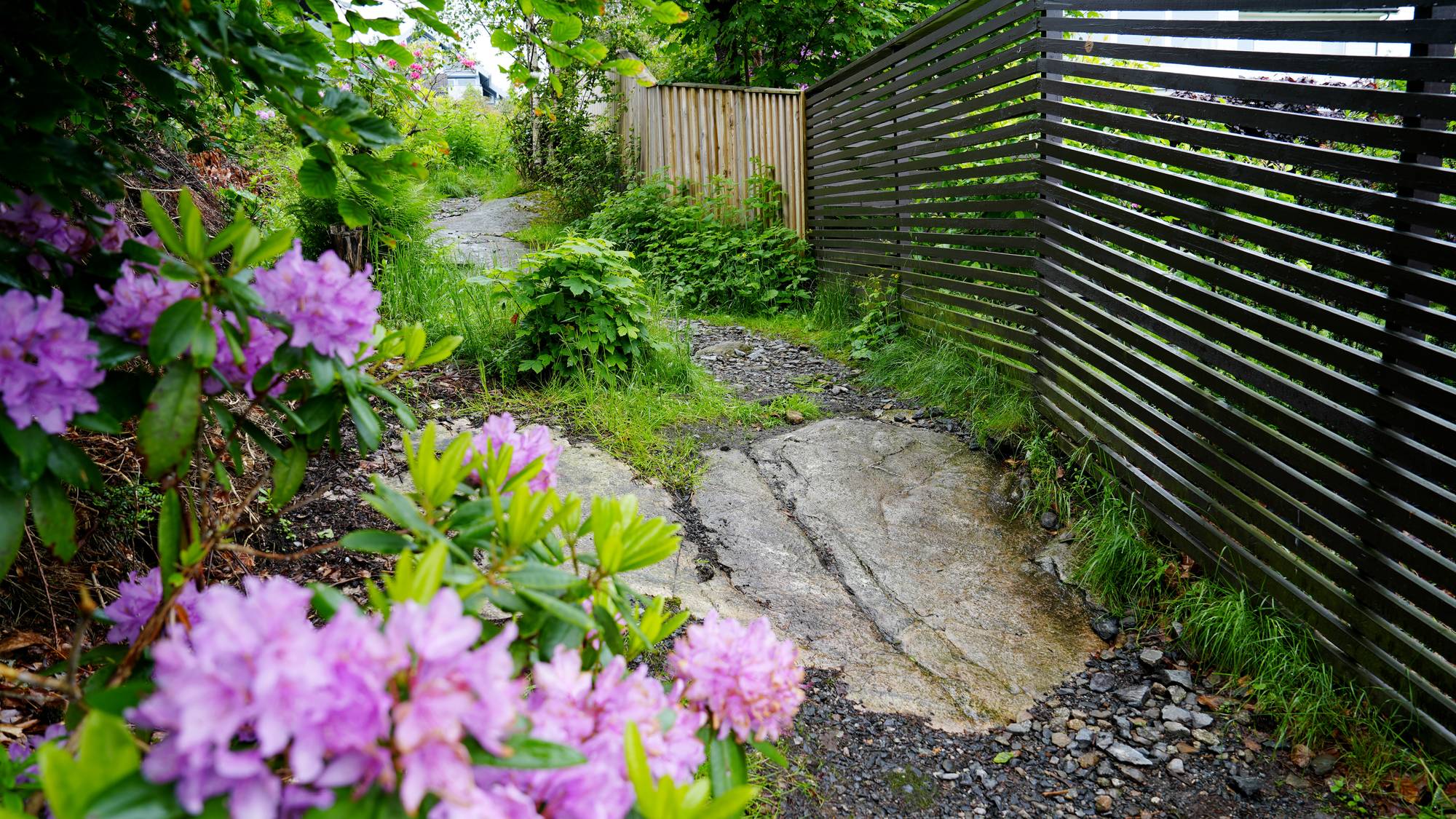 Gangsti Kråkenes