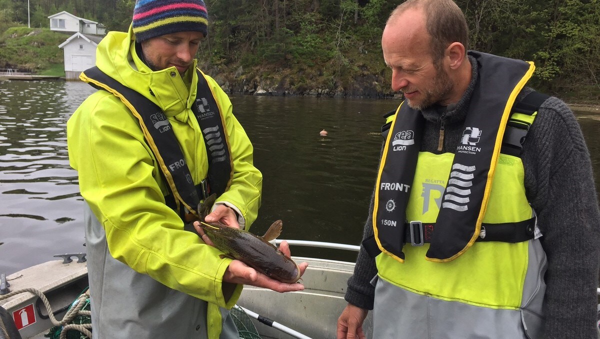 Går for nytt fiskeforbud - NRK Sørlandet - Lokale nyheter ...