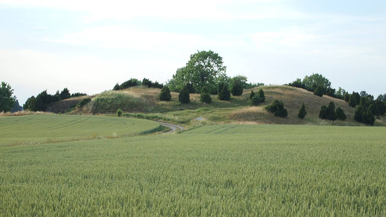 Gravfeltet Valsgärde i Uppsala i Midt-Sverige rommer over 90 graver fra jernalderen.