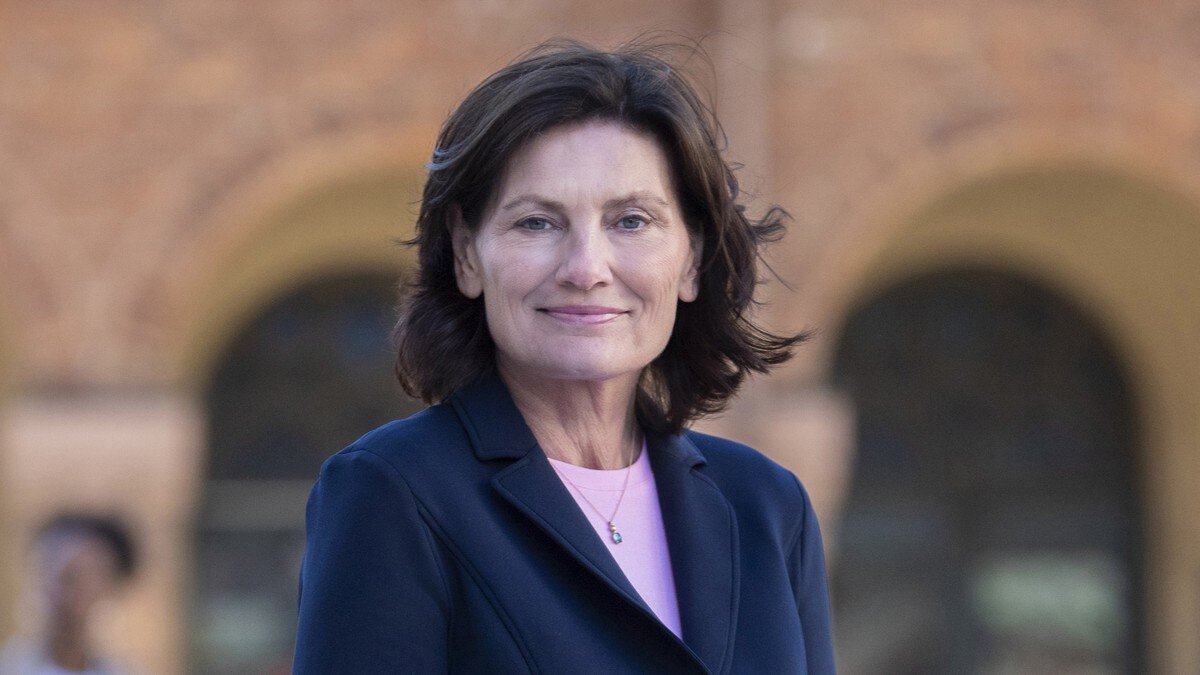 Integreringsrapport: Flere positive utviklingstrekk