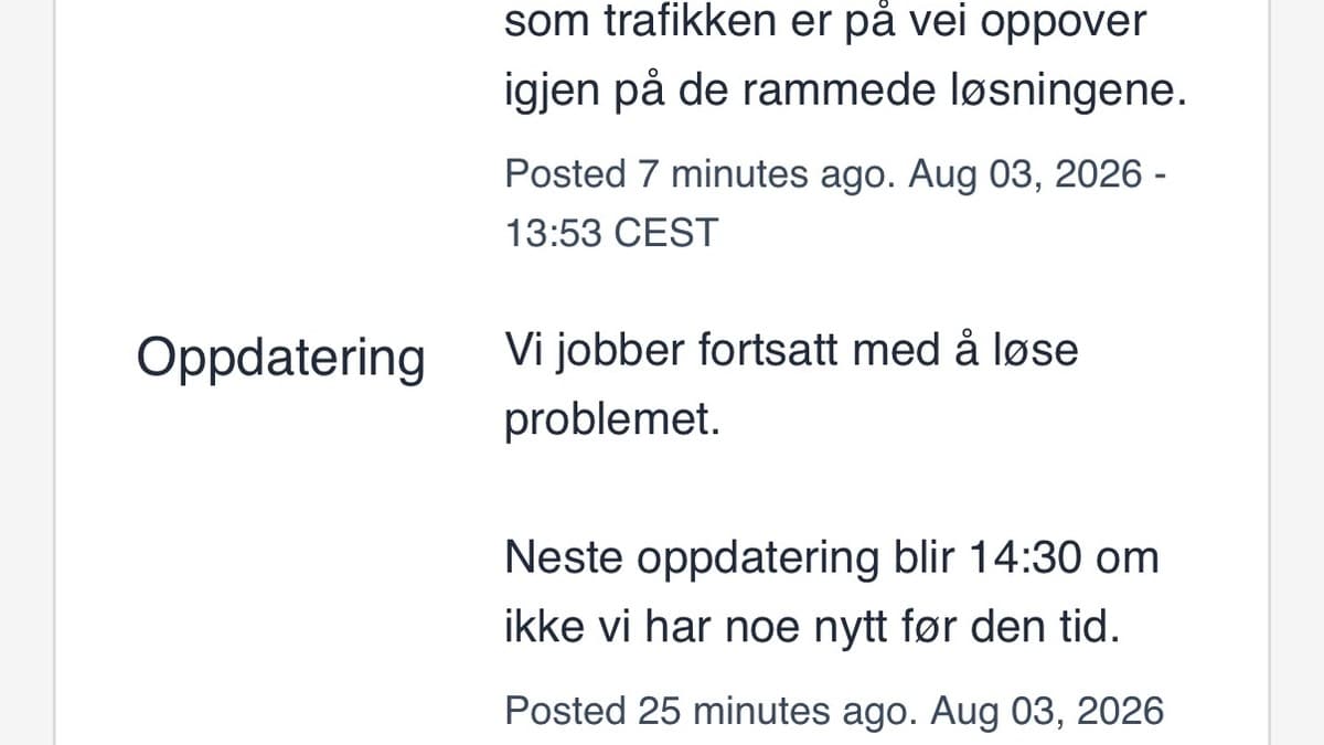 Digitale tjenester oppe igjen