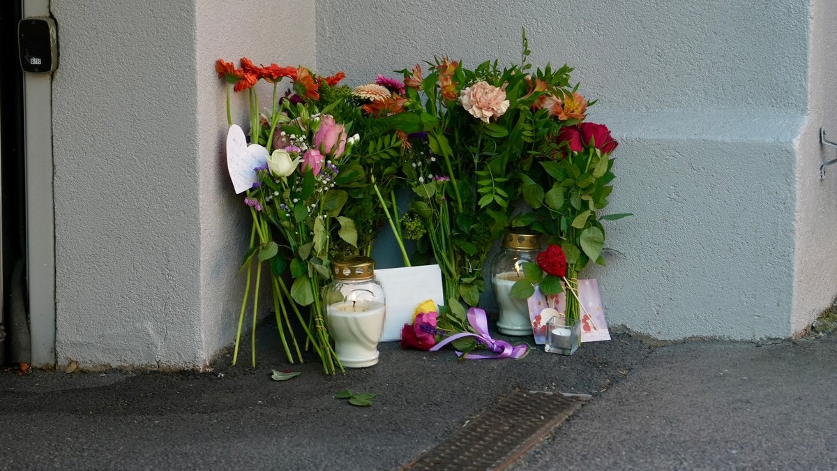 Tiltalte Djordje Wilms (18) erkjenner straffskyld for Kampen-drapet