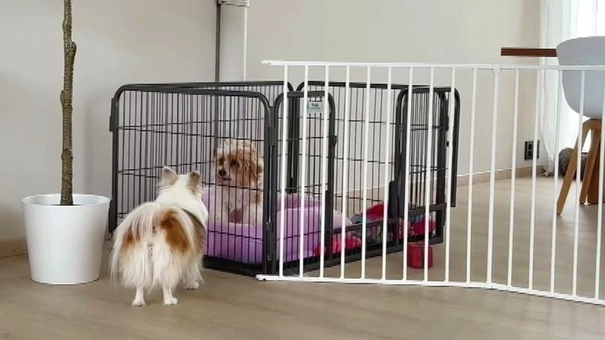 Drapsfors&oslash;k kvar dag: &ndash; Maren var v&aring;r siste utveg