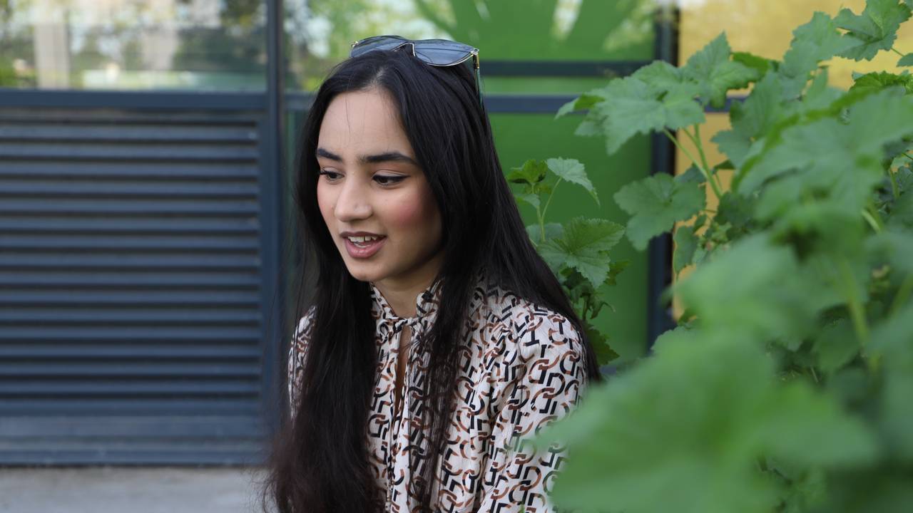 Arina Aamir