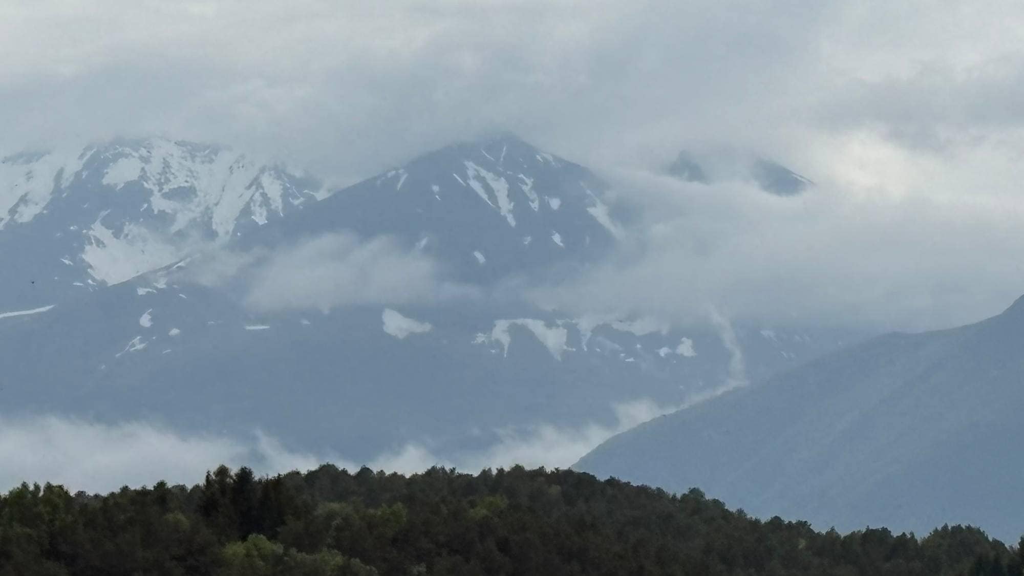 Jønshorn