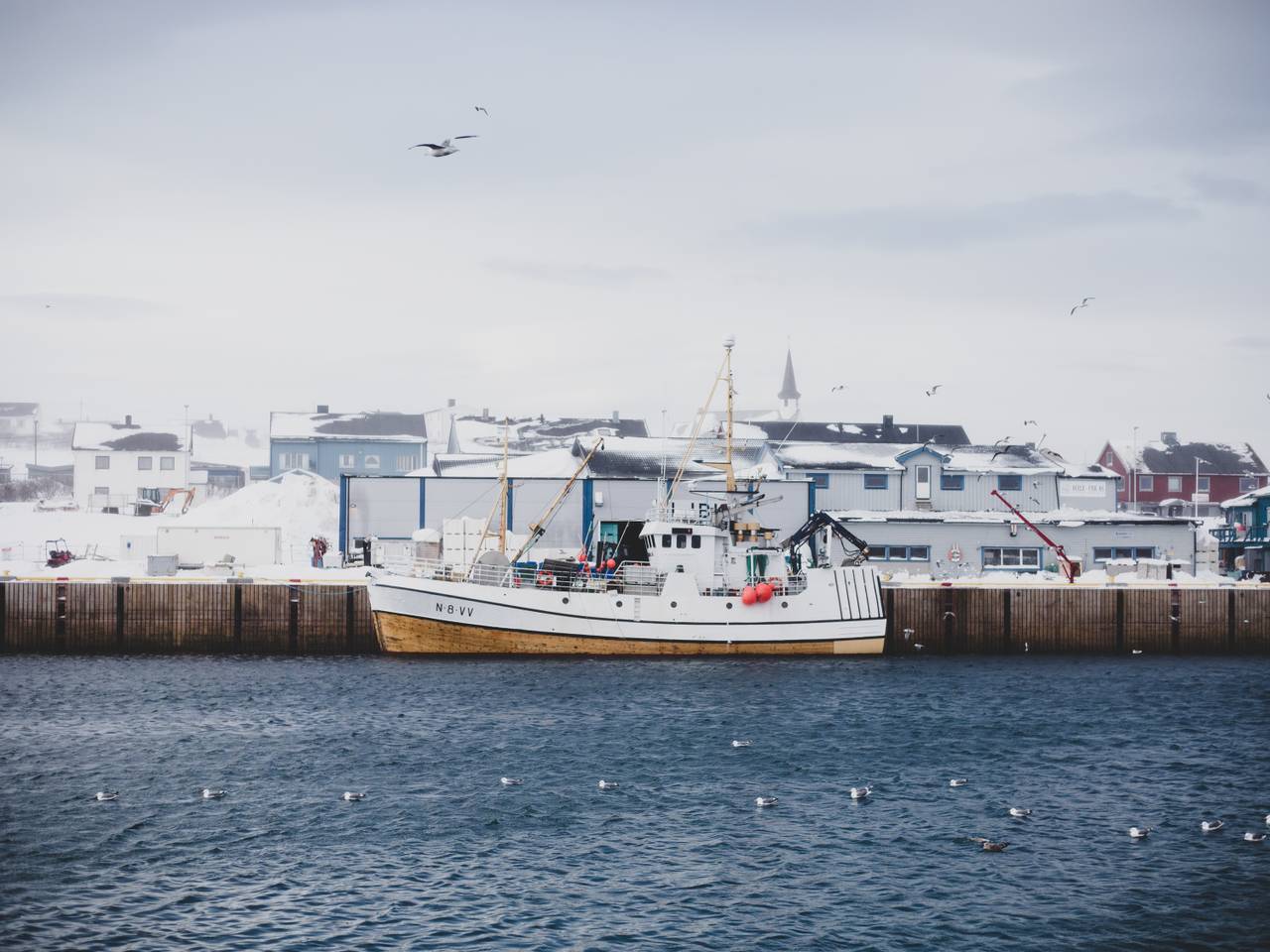 Berlevåg havn