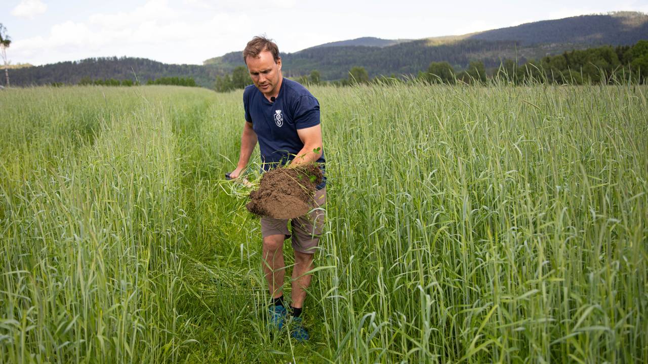 Kristoffer Svalastog Skinnes i åkeren på Nedre Skinnes Gård