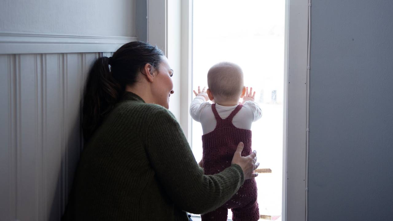 Tilde ser ut på villsauene