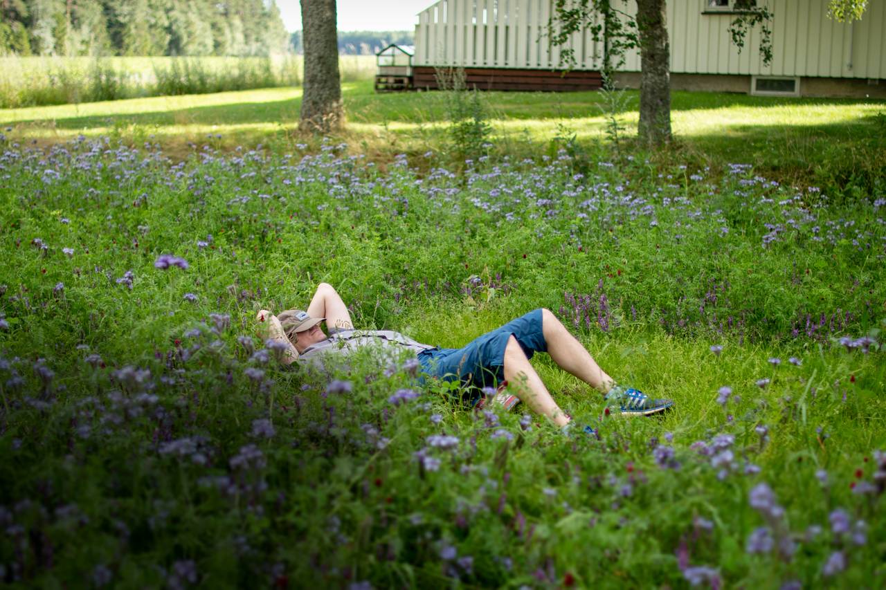 Fotografen André har lagt seg ned i høyt gress for å slappe av i solen. Han har capsen over ansiktet for å gjøre det lunt og godt. Rundt ham vokser høye villblomster. 