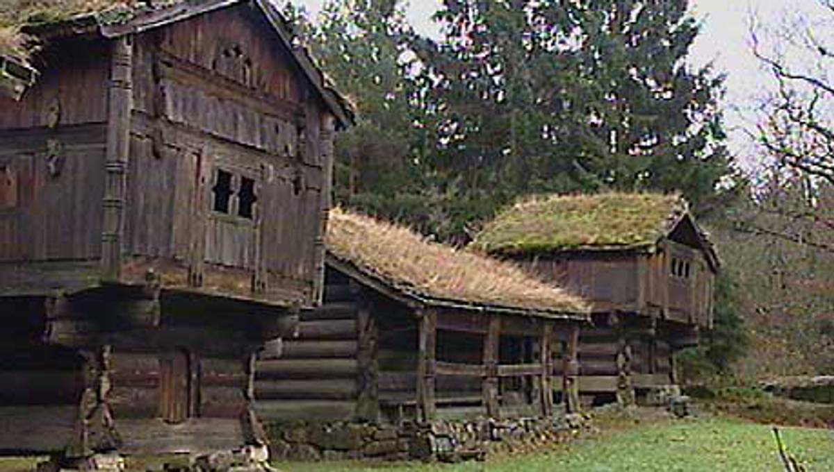 Innbrudd i museum: Dører fra Setesdalstunet stjålet