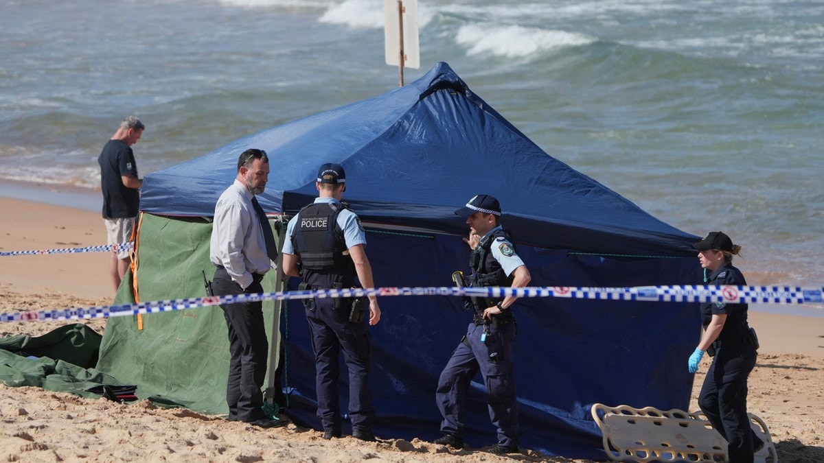Person død i haiangrep i Australia