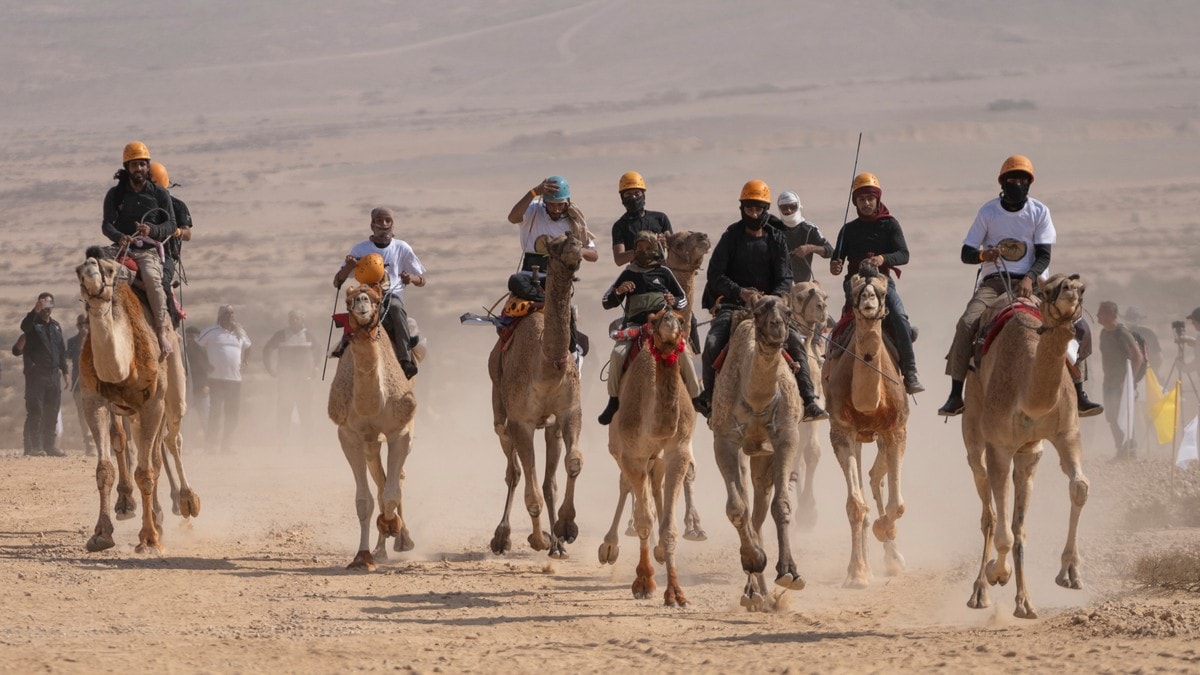 Pogba fascinert av kamelveddeløp – har kjøpt profflag