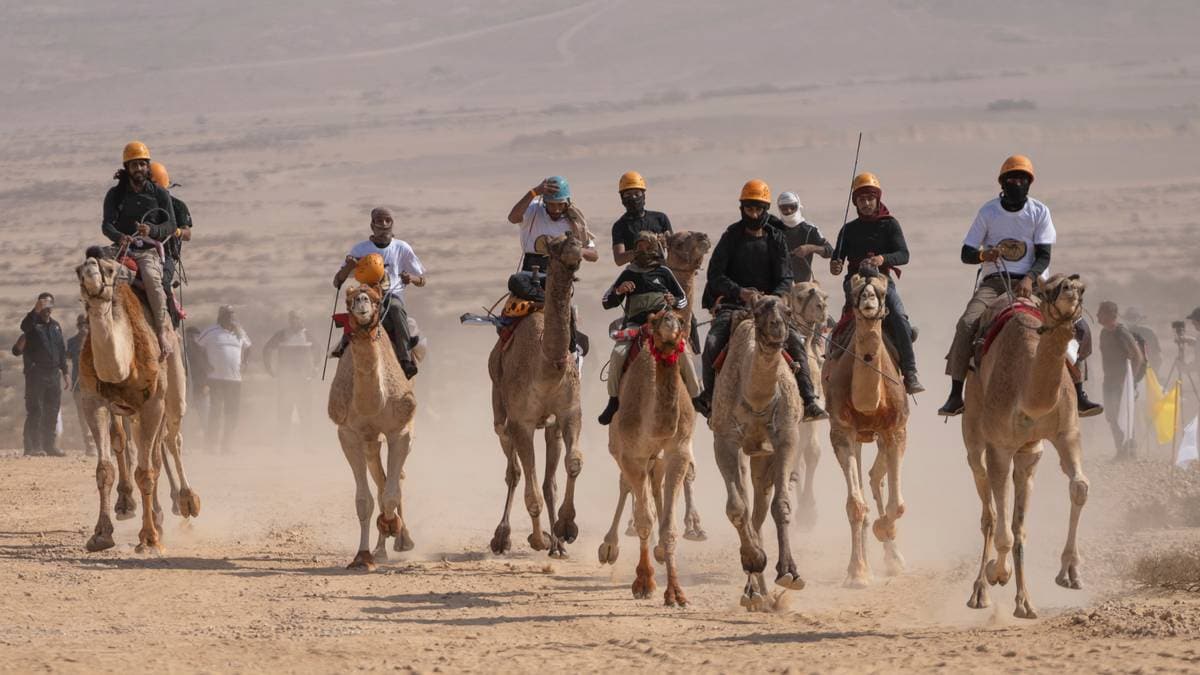 Pogba fascinert av kamelveddeløp – har kjøpt profflag