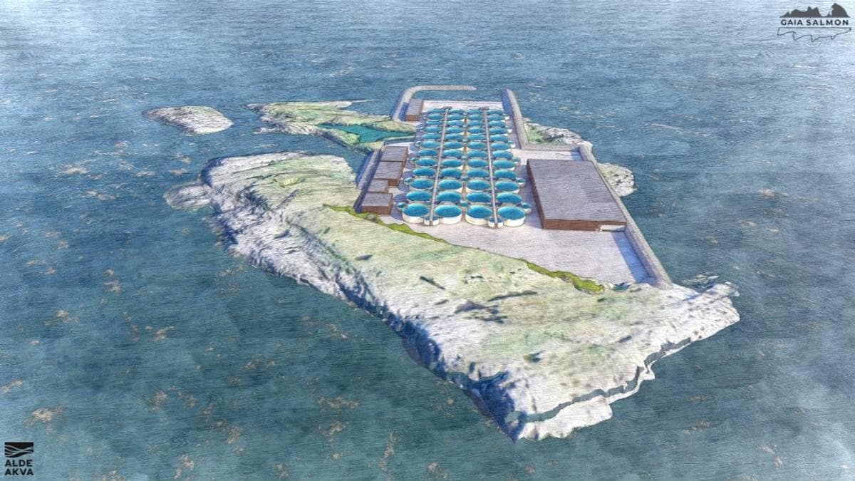 Konkurs i Gaia Salmon: – Et mørkt kapittel for Træna