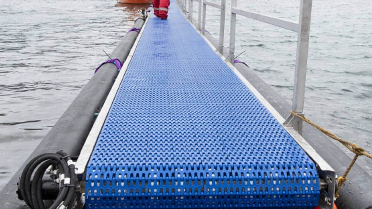 Transportbandet Floating Conveyer laget av LoVeMar og Melbu Systems.