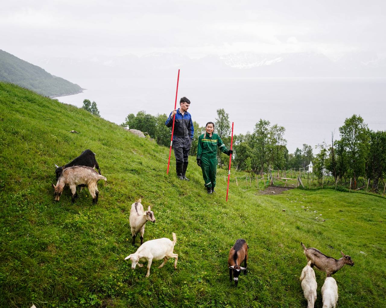 Ann-Hilde og Christian står og ser utover geitene.