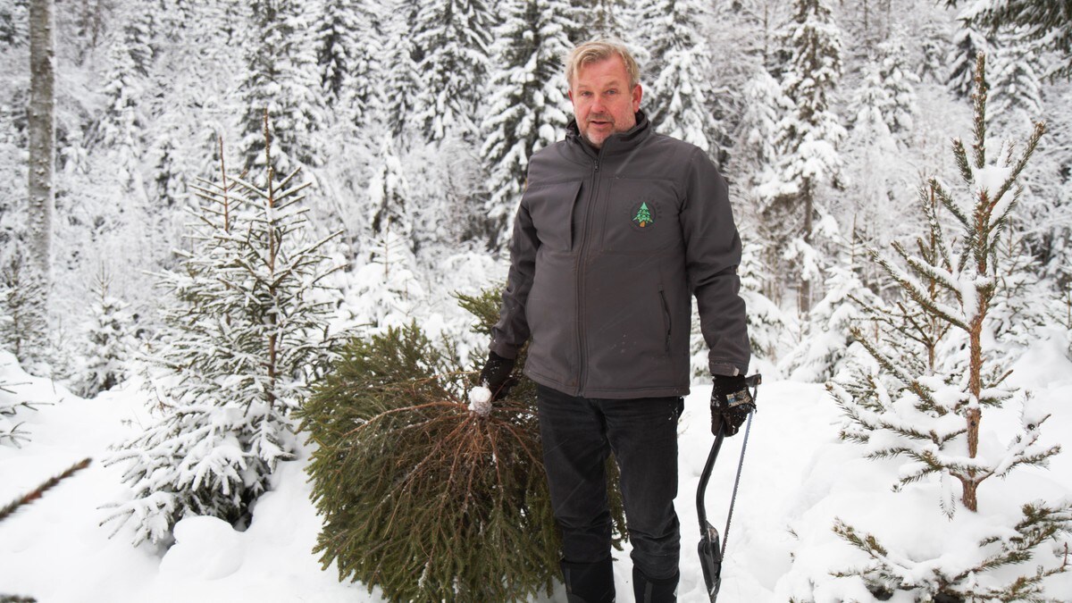 Frykter ikke kunstige trær: – Salget vårt øker for hvert år