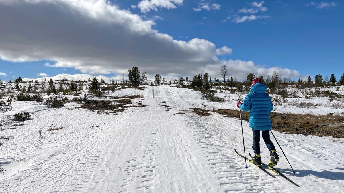 Venter &eacute;n meter mindre sn&oslash; i Nordland: &ndash; St&oslash;rst endring i landet