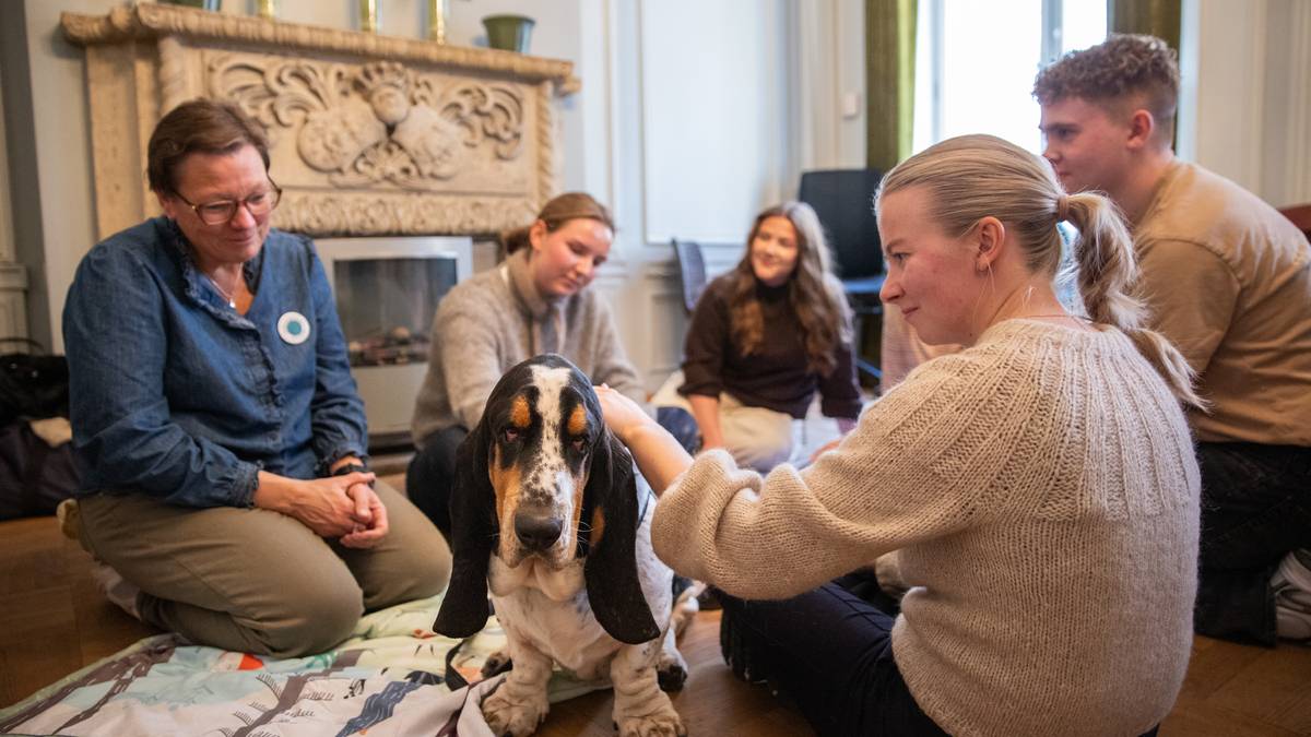 Den beste terapeuten på campus har fire bein og hale