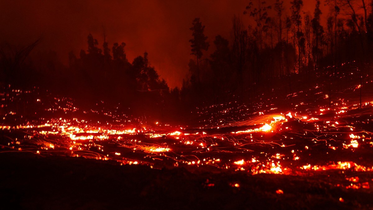 Minst 23 omkommet i skogbranner i Chile