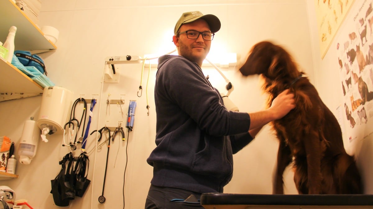 Dyreeigarar strøymer til veterinæren som aldri før 
