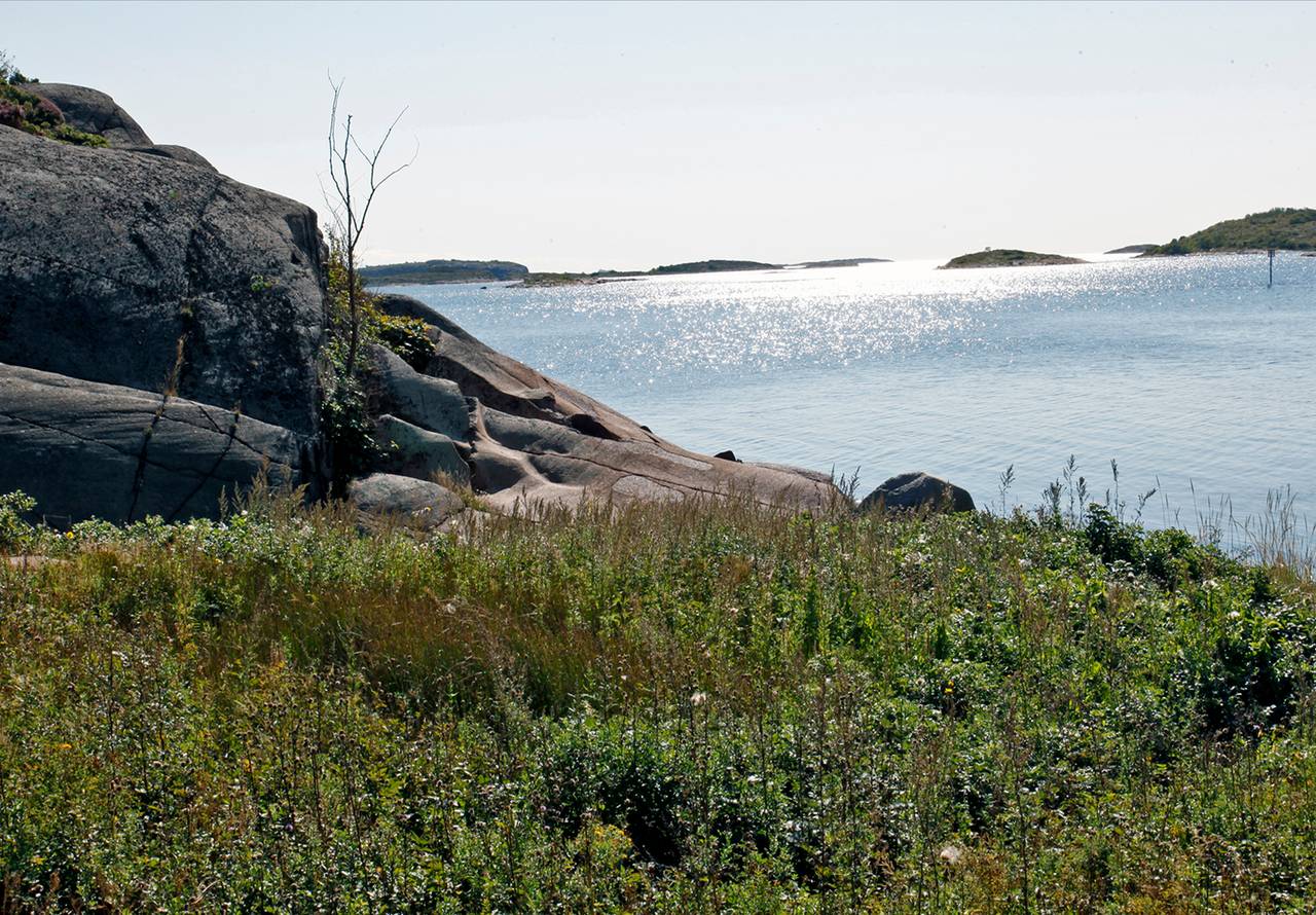 Gravplassen i 2019