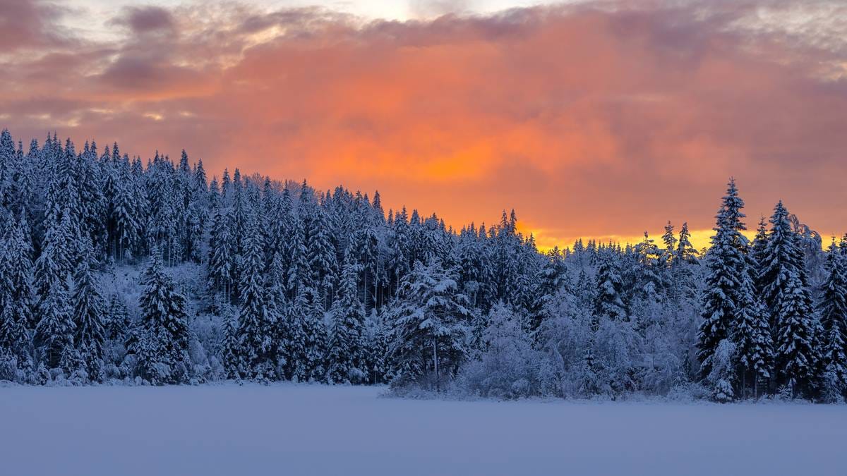 Håp om hvit jul - i øst