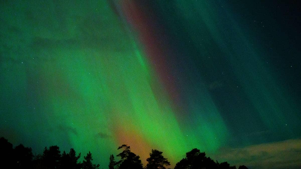 I natt kan du se nordlys over hele landet