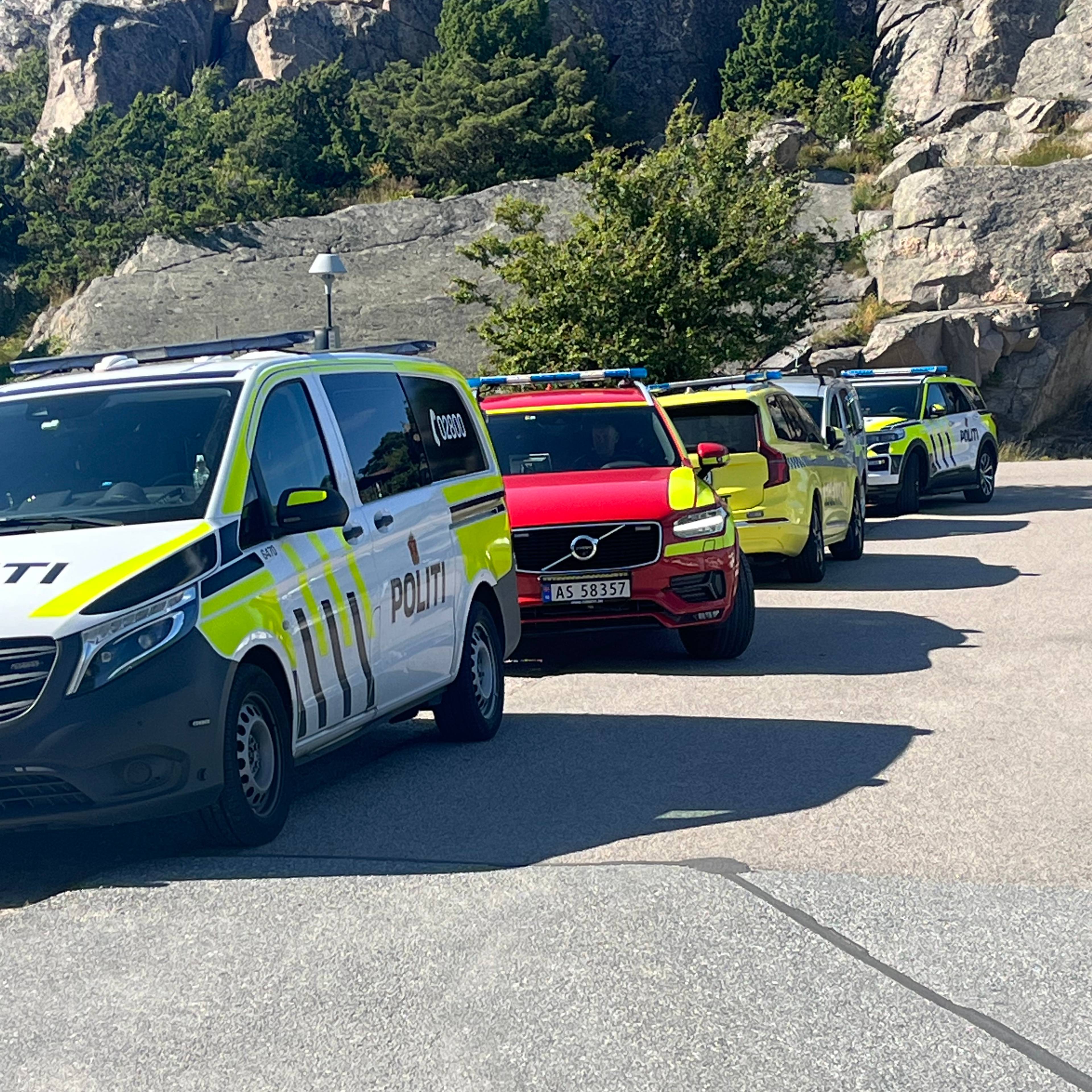 Flere politibiler står parkert på rad ved en fjellvegg. (Bildebeskrivelsen er laget av en KI-tjeneste)