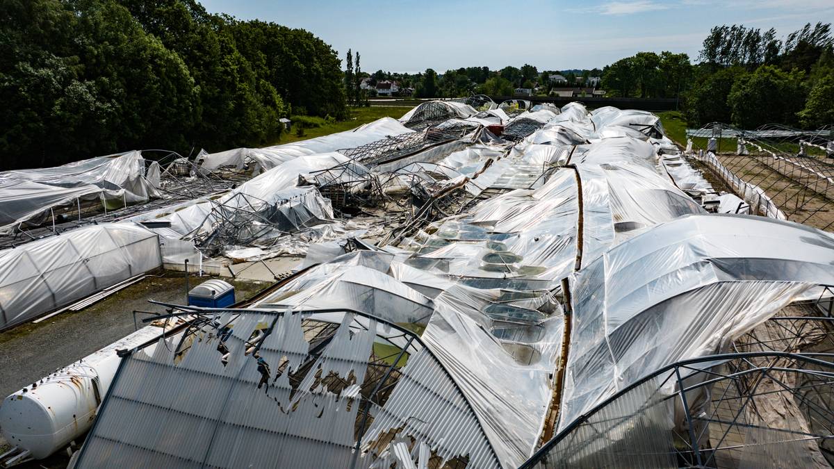 Uværsrammet gartneri konkurs