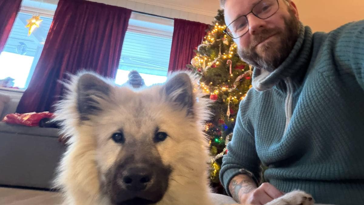 Nyttårsmarerittet endte godt: Valpen Link funnet i et tre