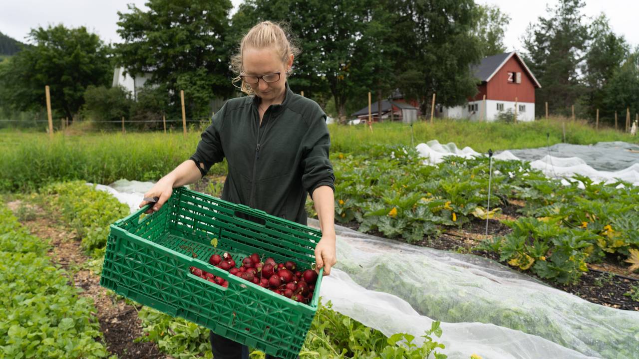 Marte Olsen med reddikane ho har hausta.