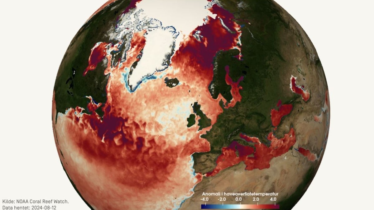 Hetebølge i Barentshavet: Fire–fem gradere varmere enn normalt
