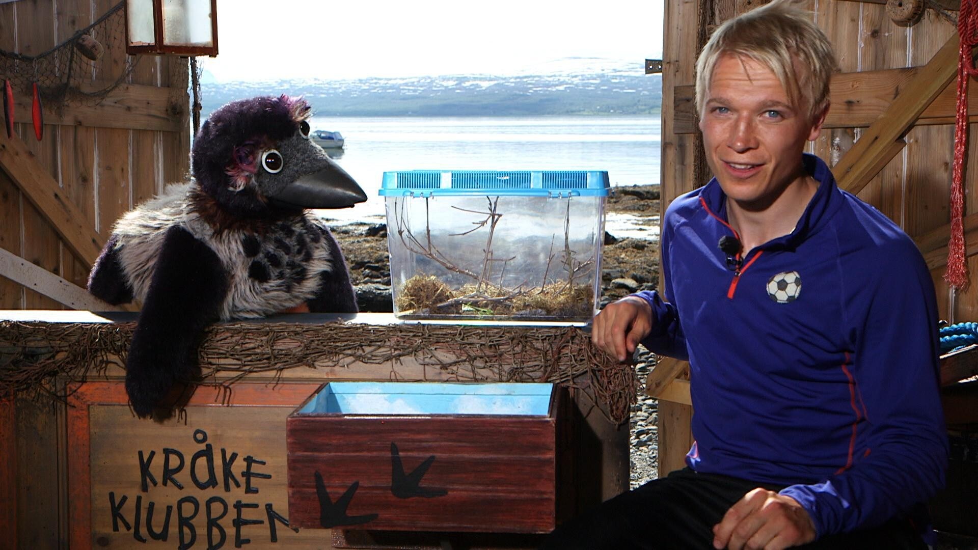 Kr keklubben NRK TV