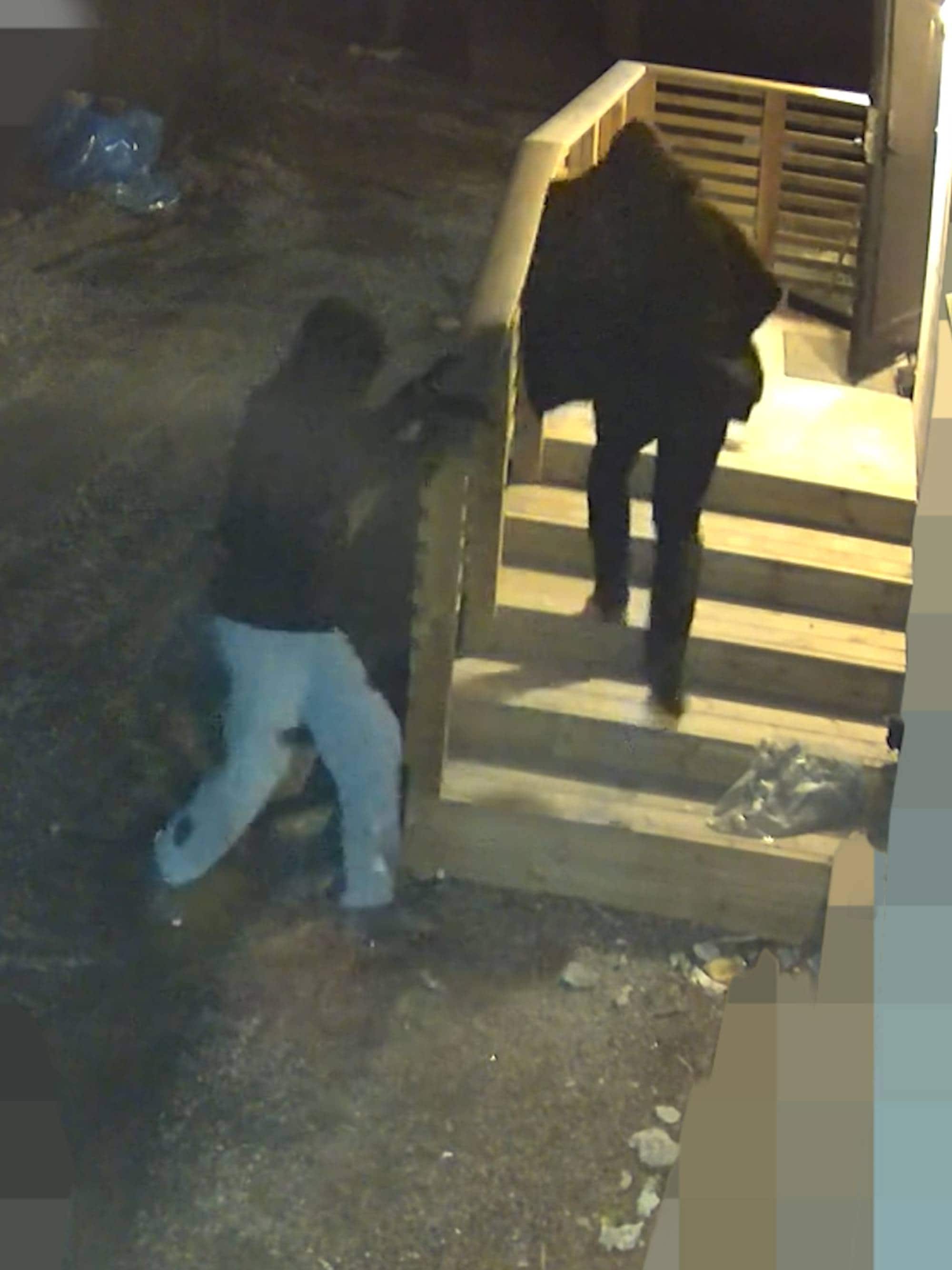 To menn med mørke jakker og hetter på hodet stormer opp en trapp og inn i en bolig.