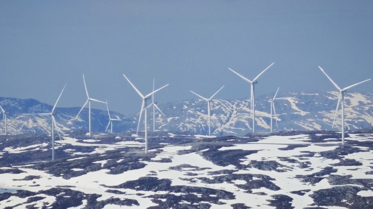 Øyfjellet-saken: Reindriften krever over 300 mill. fra Norges største vindkraftanlegg