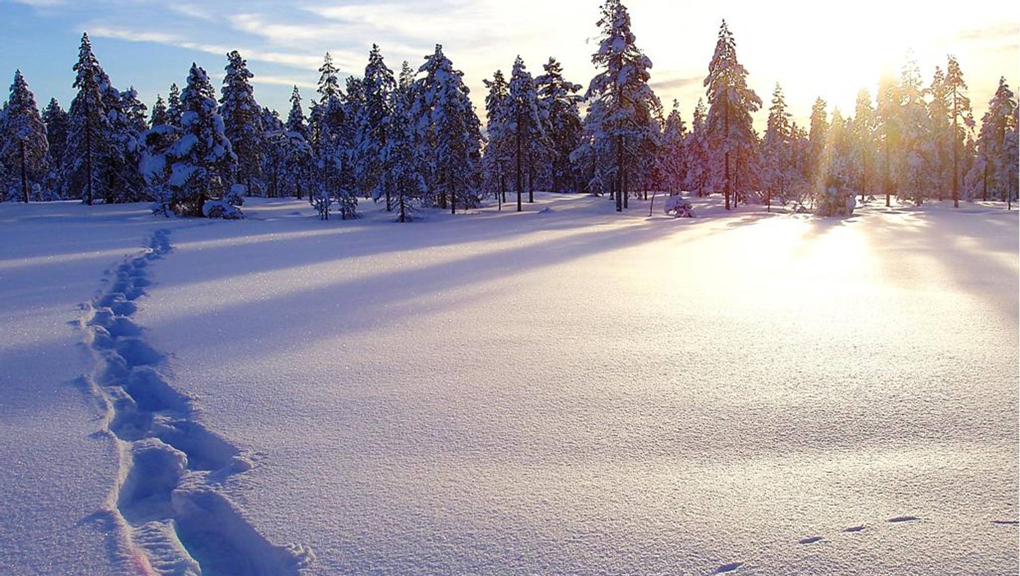 Dine bilder 25.2 2.3 SNØSPOR 1 NRK Innlandet Lokale