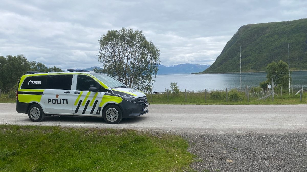 Organisasjoner klager på politiets henleggelse av saueangrep