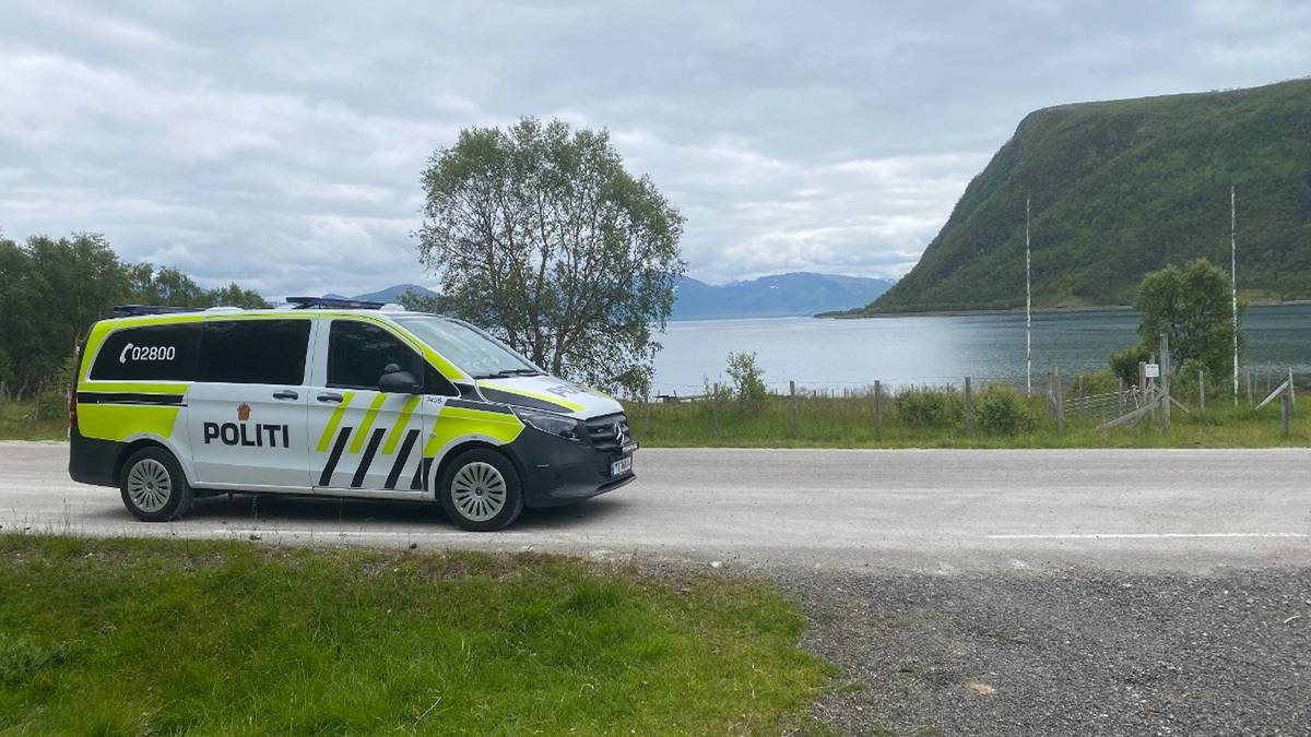 Klager på politiets henleggelse av saueangrep: – Et angrep i seg selv