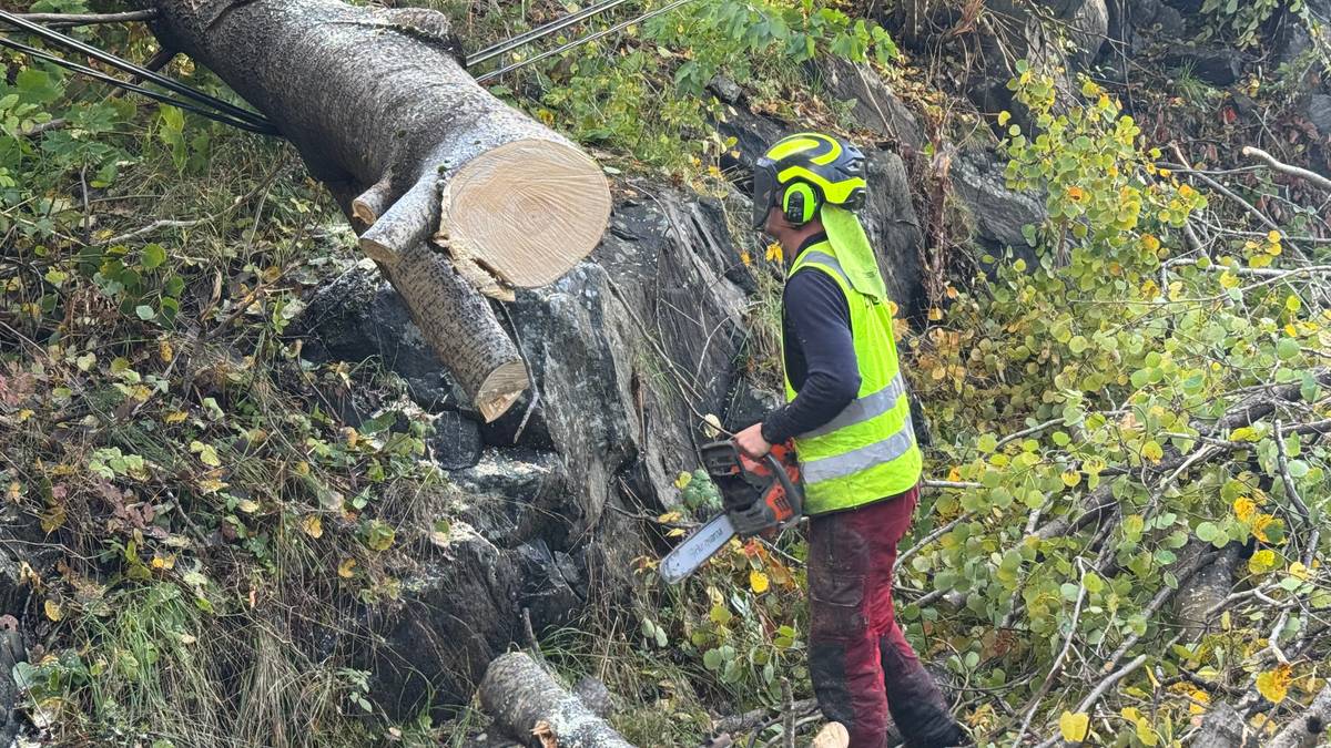 Underkant av 8000 uten strøm i Agder