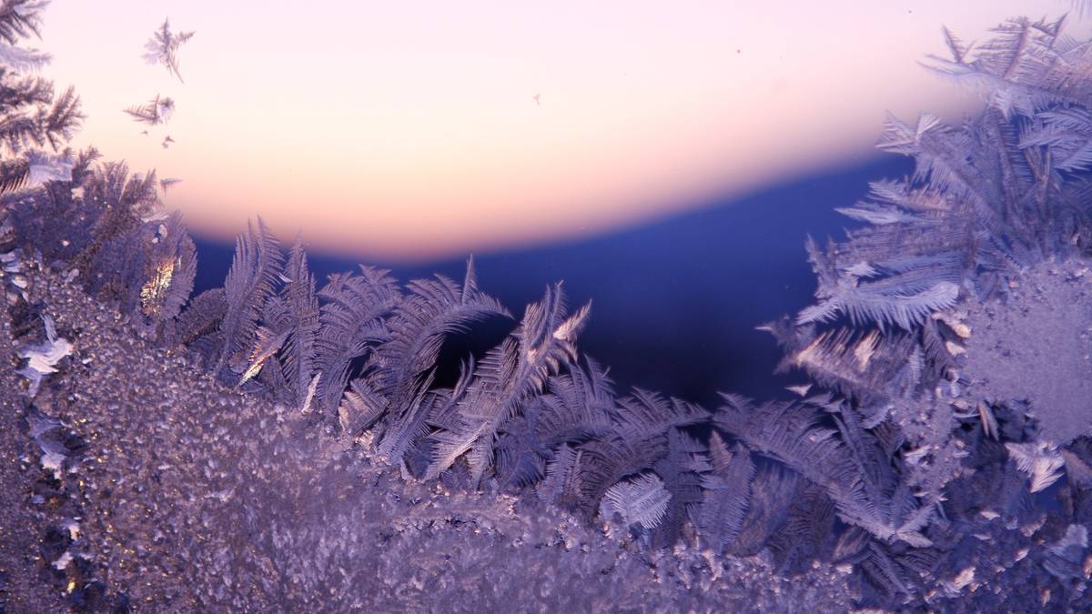 Slik kan du utnytte kuldegradene