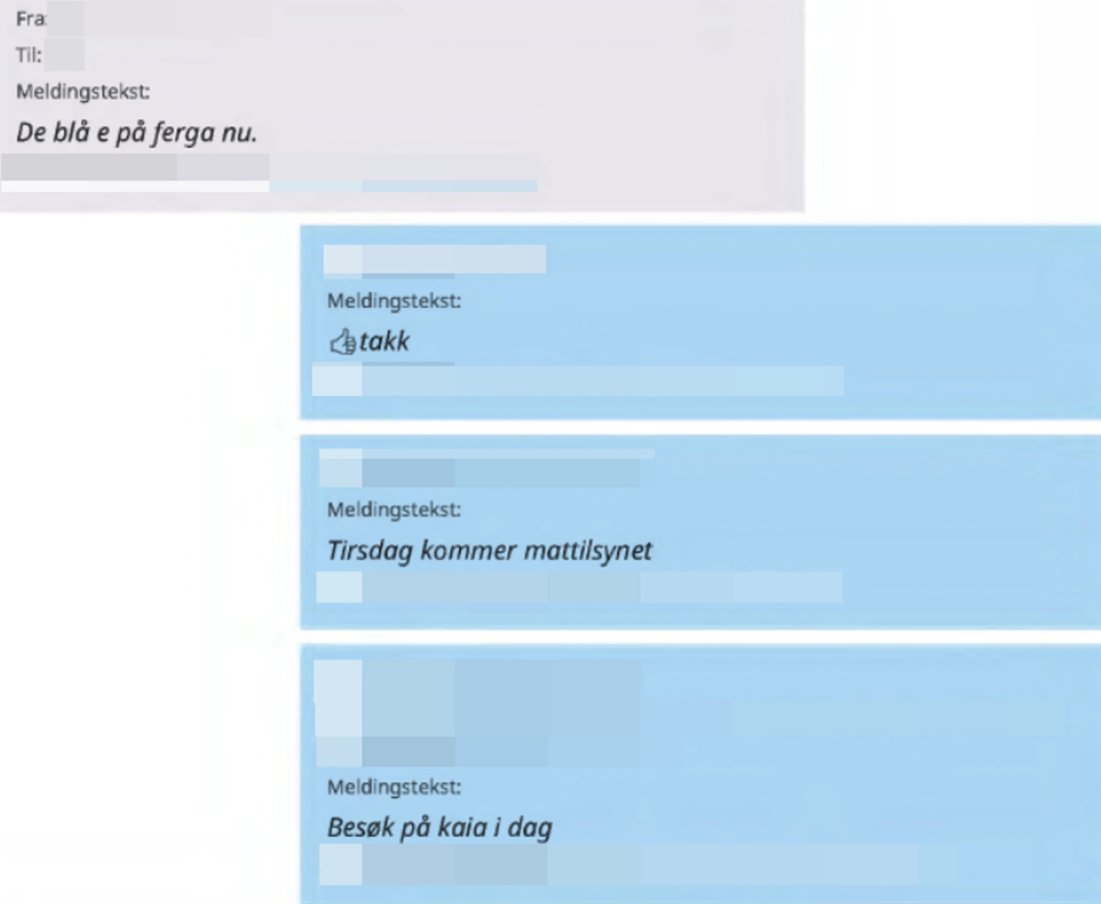 En chattelogg der to personer snakker om at direktoratet er på besøk på kaia. Bildene er anonymisert.