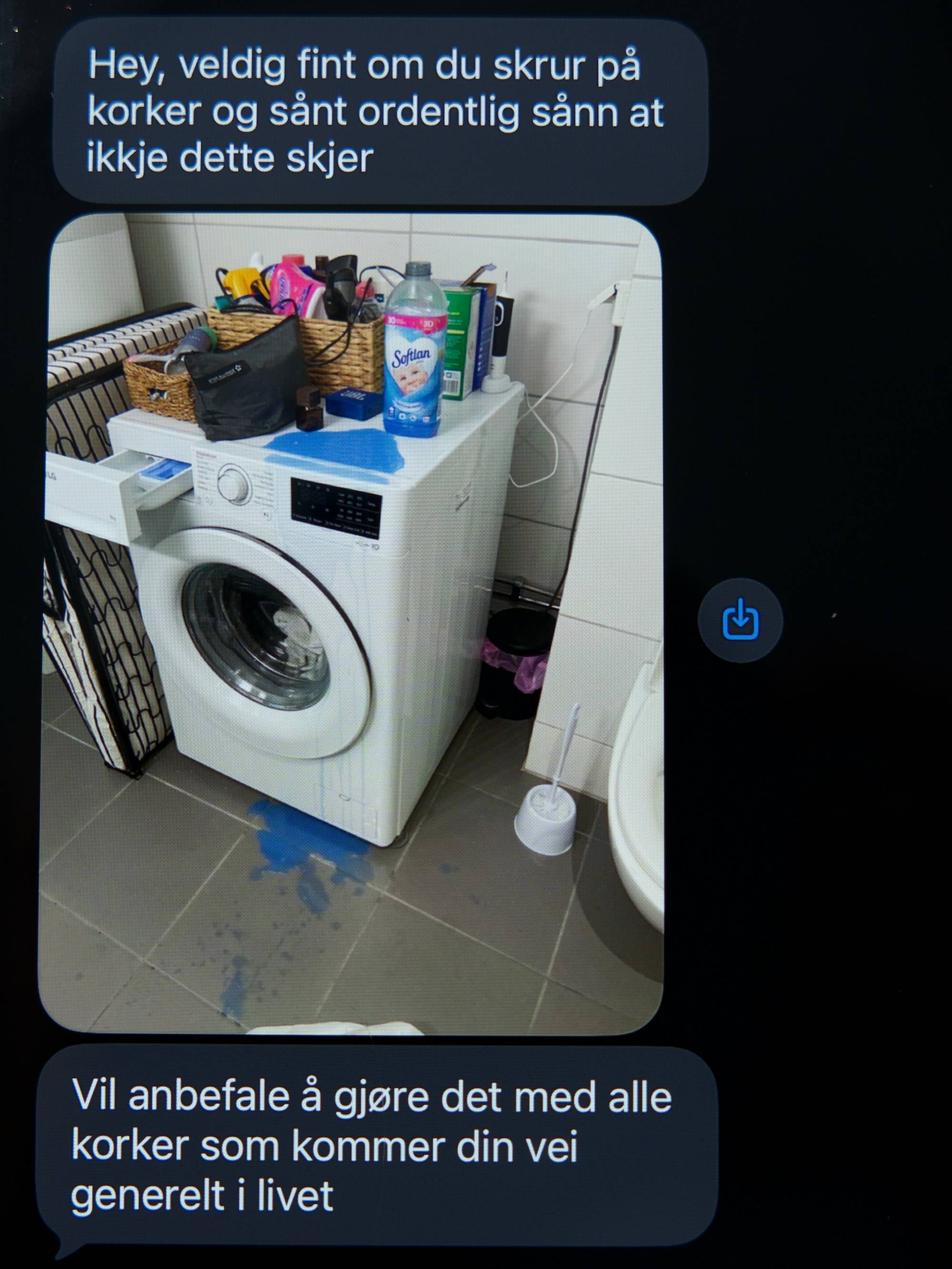 Bildet viser telefonen til en person i kollektivet. Vedkommende har sendt to meldinger og et bilde til en av samboerne sine. På den første meldingen står det: "Hey, veldig fint om du skrur på korker og sånt ordentlig sånn at ikkje dette skjer". Meldingen er etterfulgt av et bilde av en vaskemaskin som er griset ned av tøymykner. På den neste meldingen, står det: "Vil anbefale å gjøre det med alle korker som kommer din vei generelt i livet".