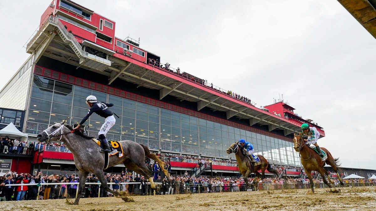 Seize the Grey vant Preakness Stakes