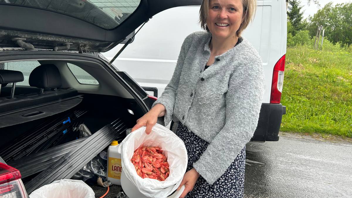 Fortvilar over ferjekaos på Kystriksvegen: – Står her med ferske reker